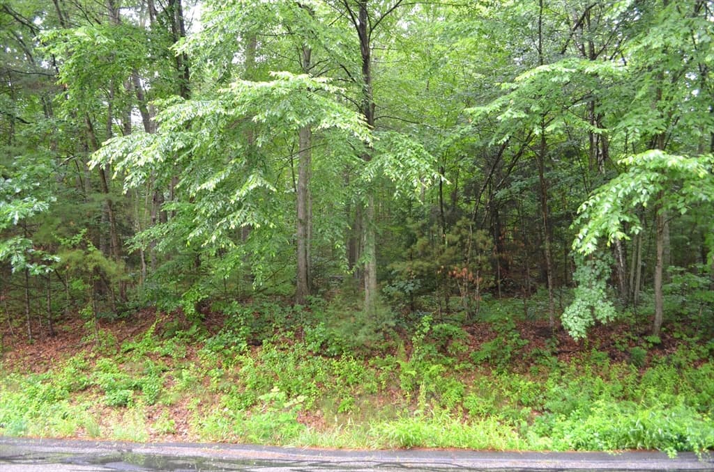 Lot 5 Babcock Tavern Rd photo 3