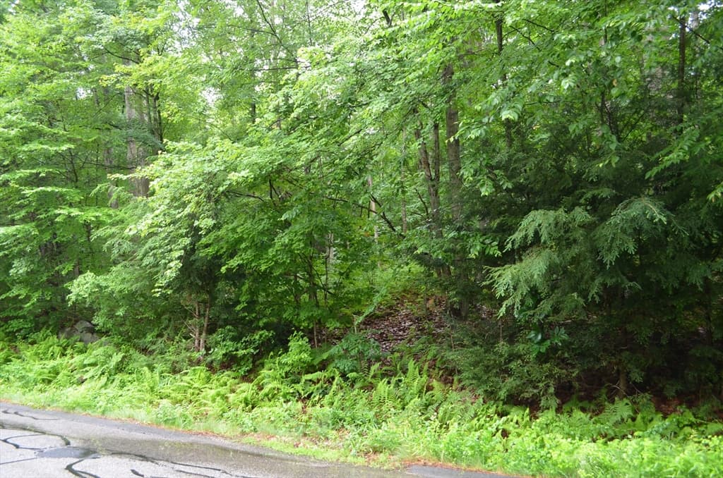 Lot 4 Babcock Tavern Rd photo 3