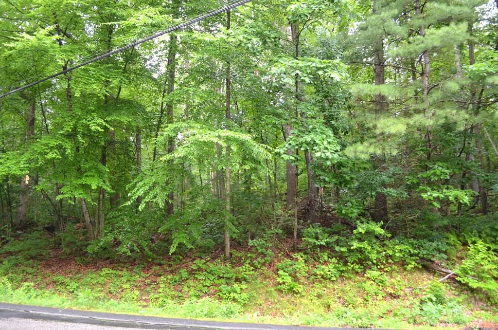 Lot 4 Babcock Tavern Rd photo 4