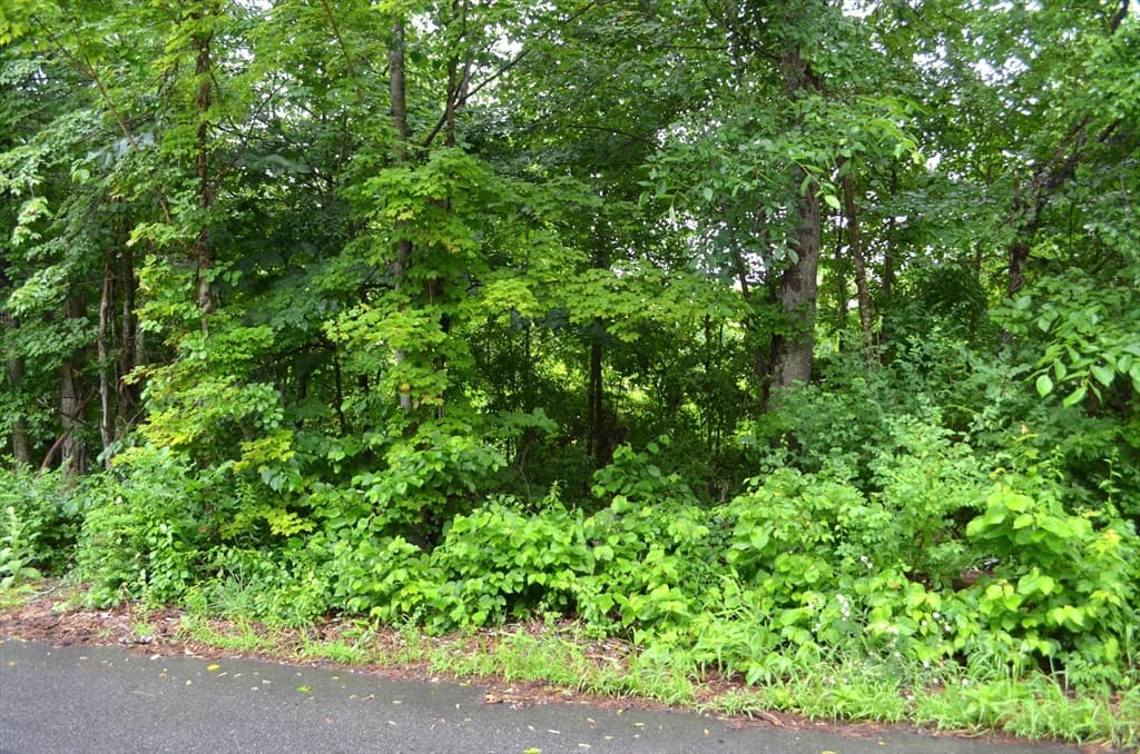 Lot 6 Babcock Tavern Rd photo 2