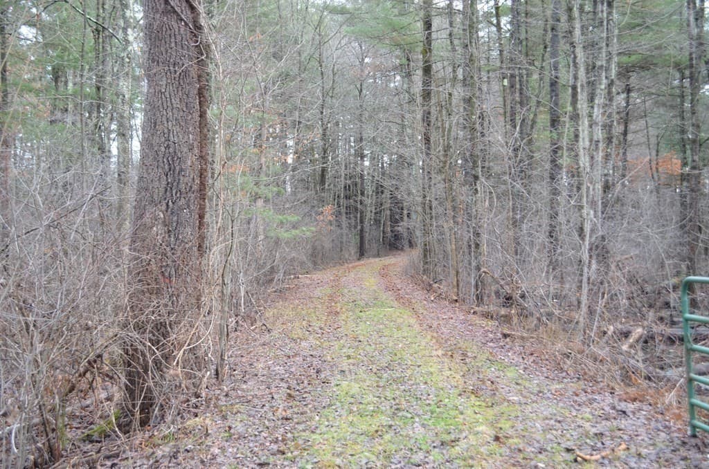 884 Stony Hill Rd photo 3