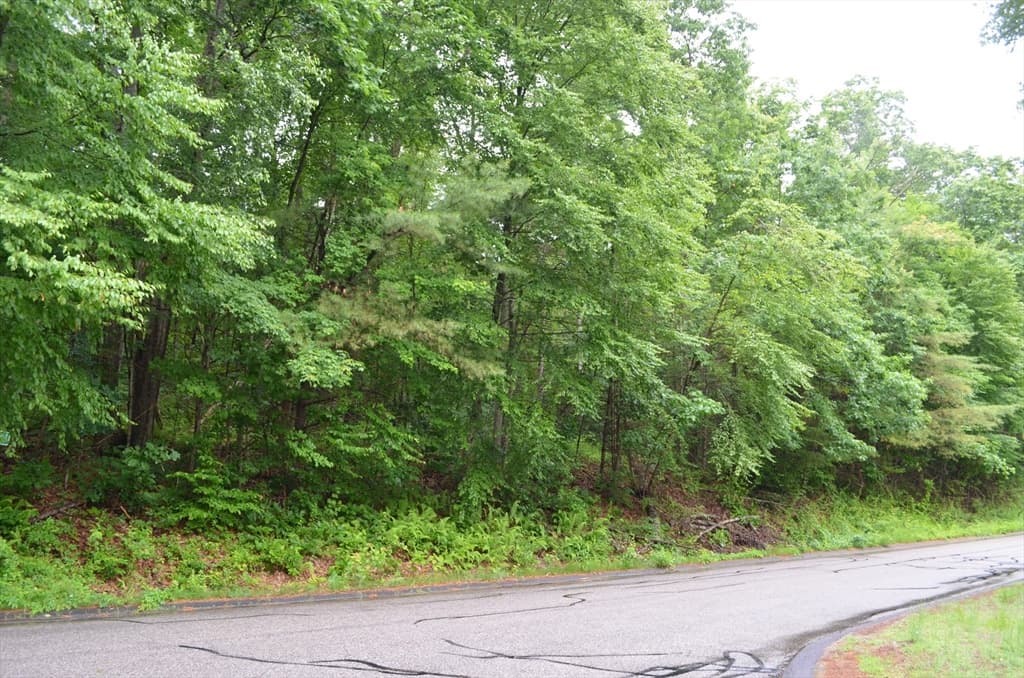 Lot 8 Monson Turnpike Rd photo 3