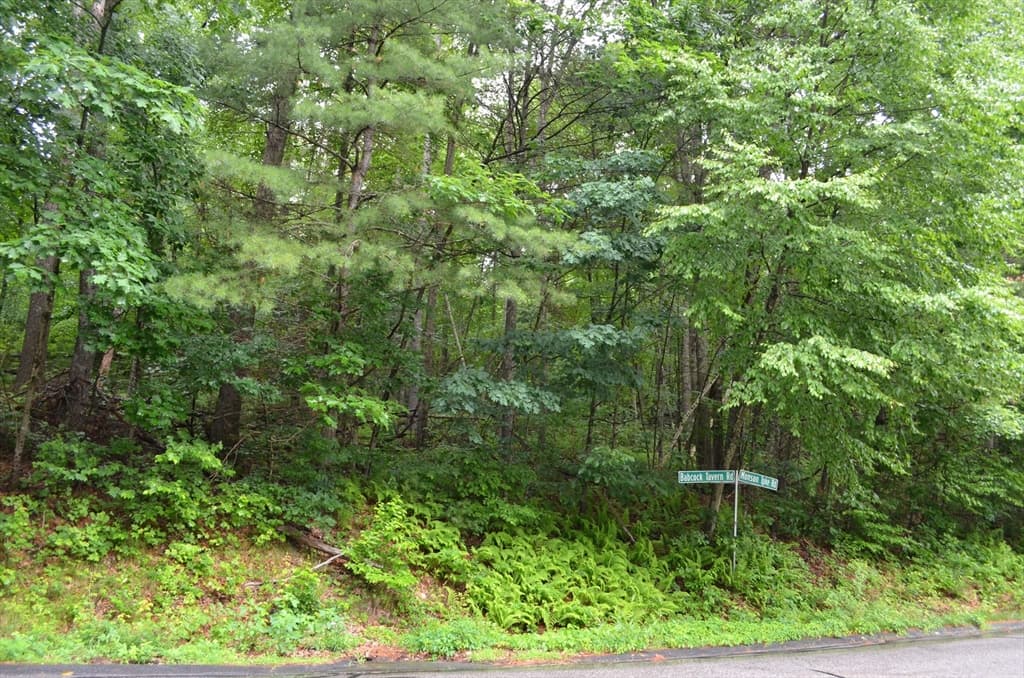 Lot 8 Monson Turnpike Rd