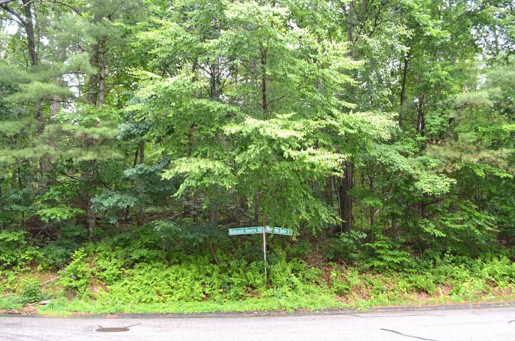 Lot 8 Monson Turnpike Rd photo 4