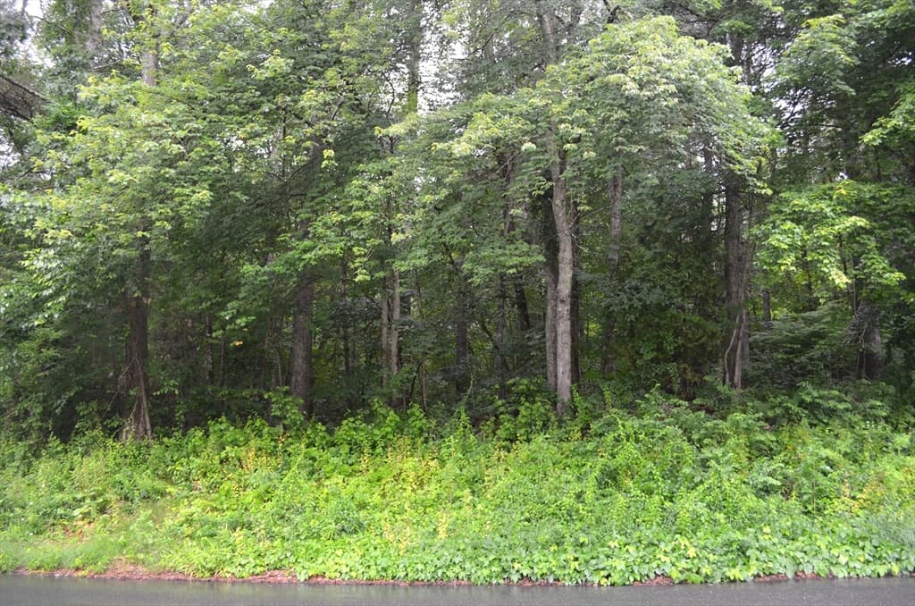 32 Coffey Hill Rd photo 2