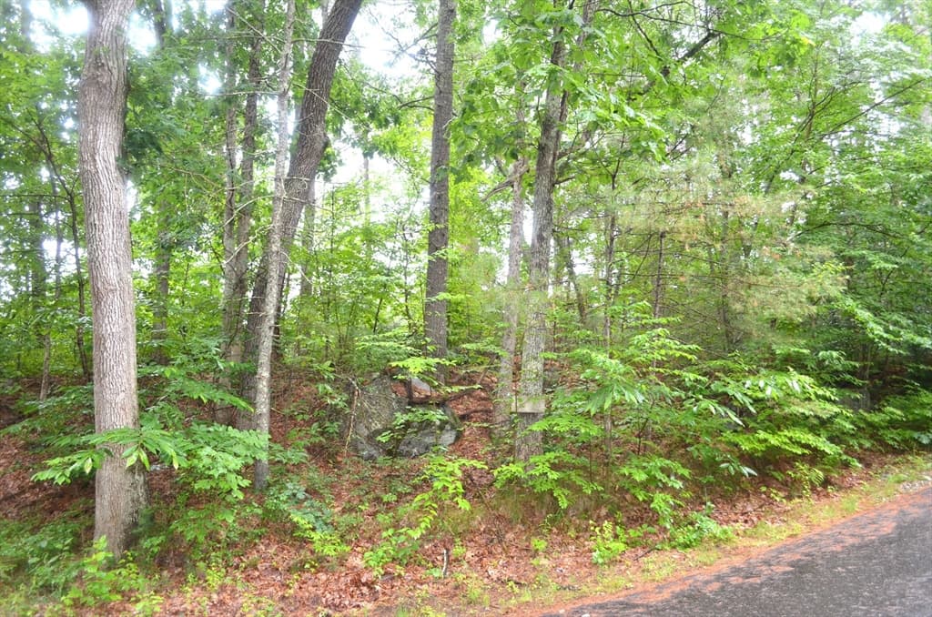 32 Coffey Hill Rd photo 3