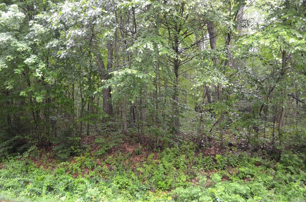 32 Coffey Hill Rd photo 4