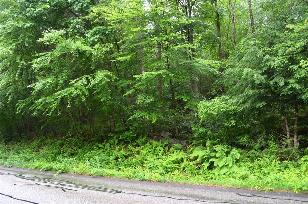 Lot 3 Monson Turnpike Rd photo 2