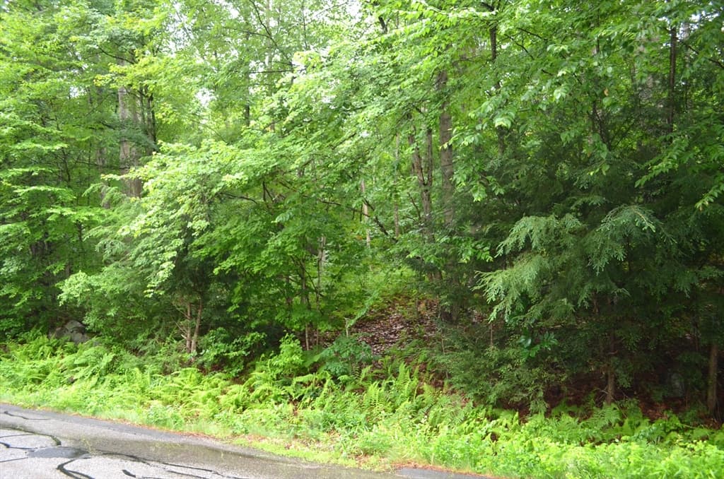 Lot 3 Monson Turnpike Rd photo 3