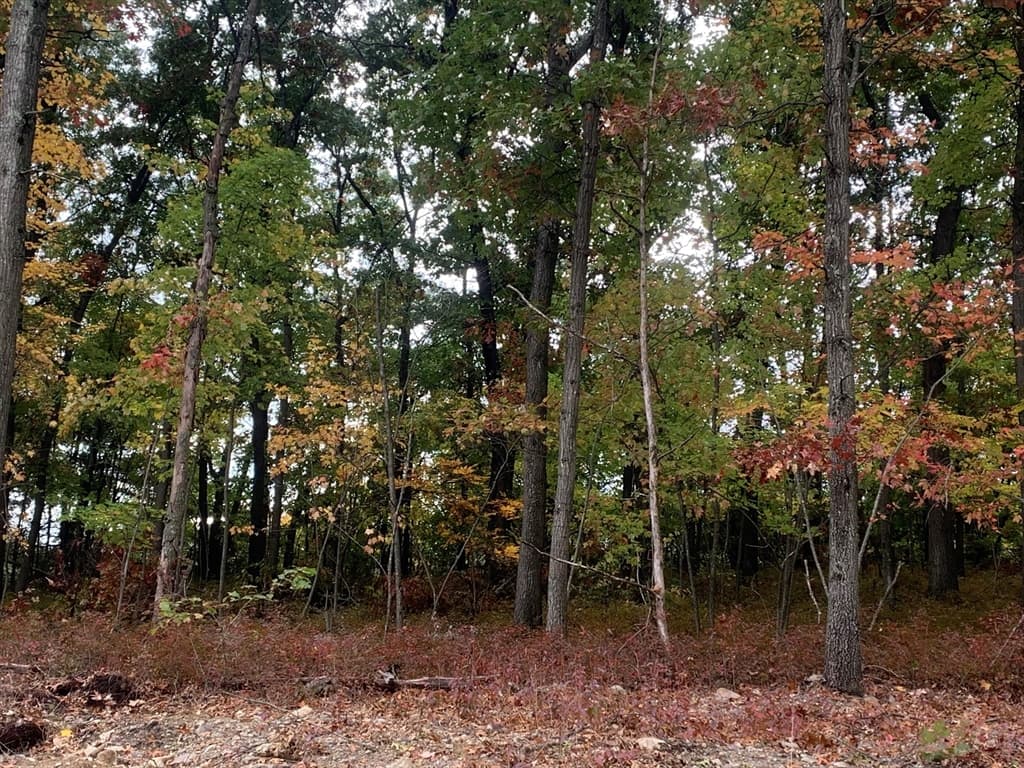 75 Sperry Ln.(Lot 7 ) photo 5