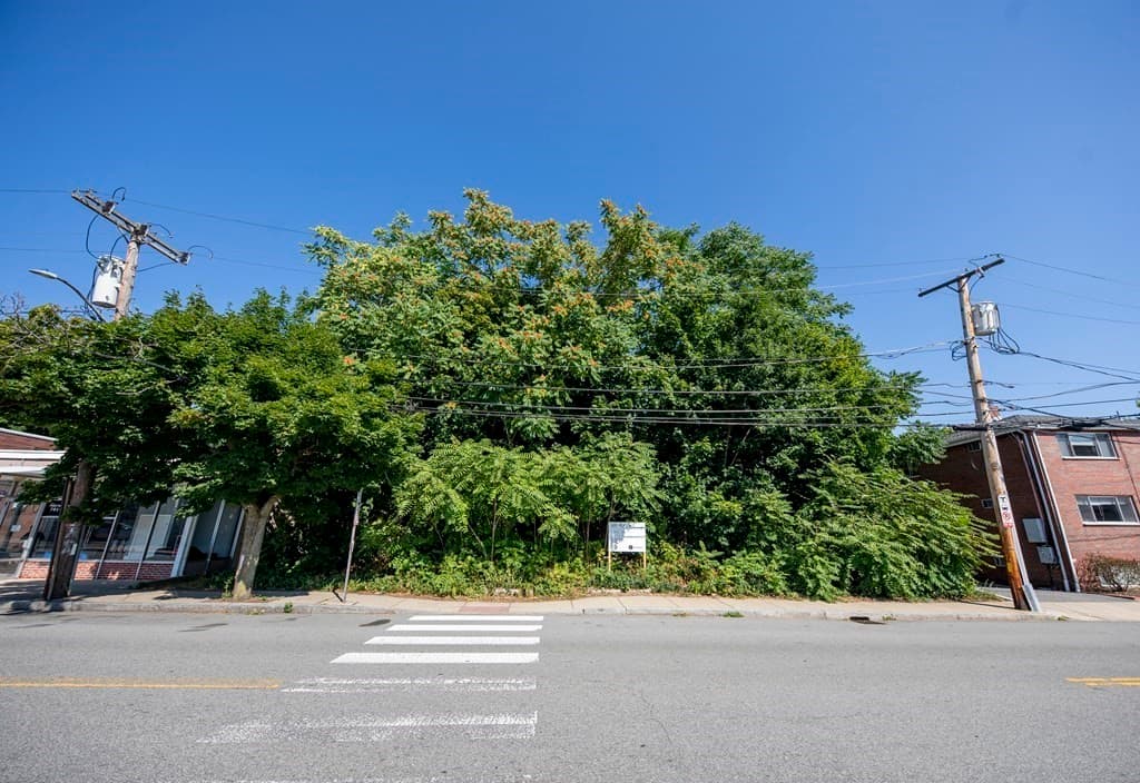 67 Crescent St photo 2