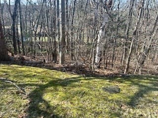 Lot 10 Skyridge Drive photo 3