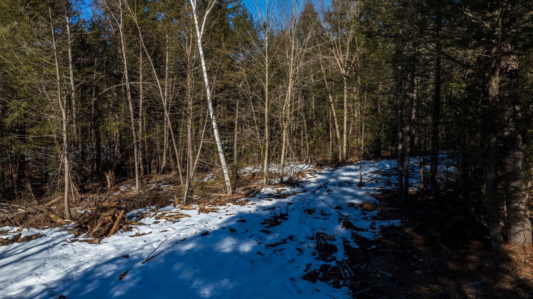 18 Pond Brook Road photo 5