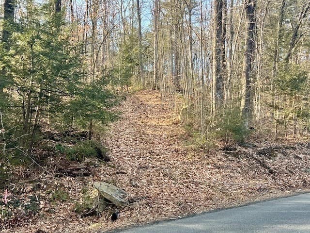 89 East Road