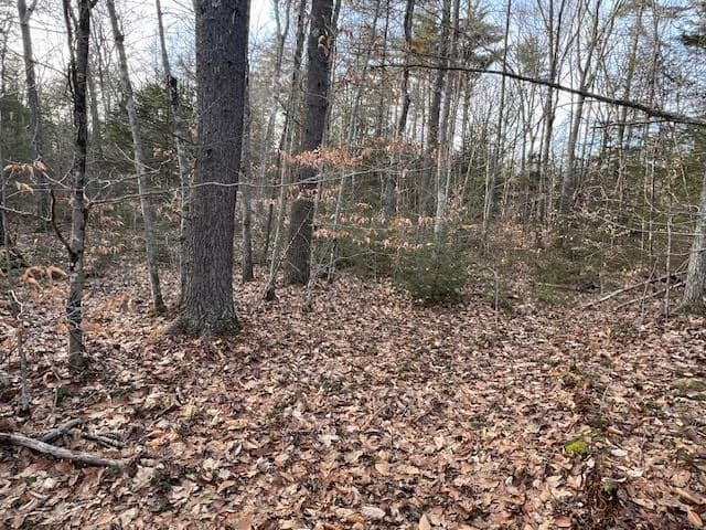 89 East Road photo 5