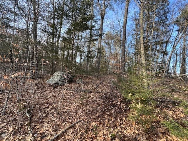 89 East Road photo 4