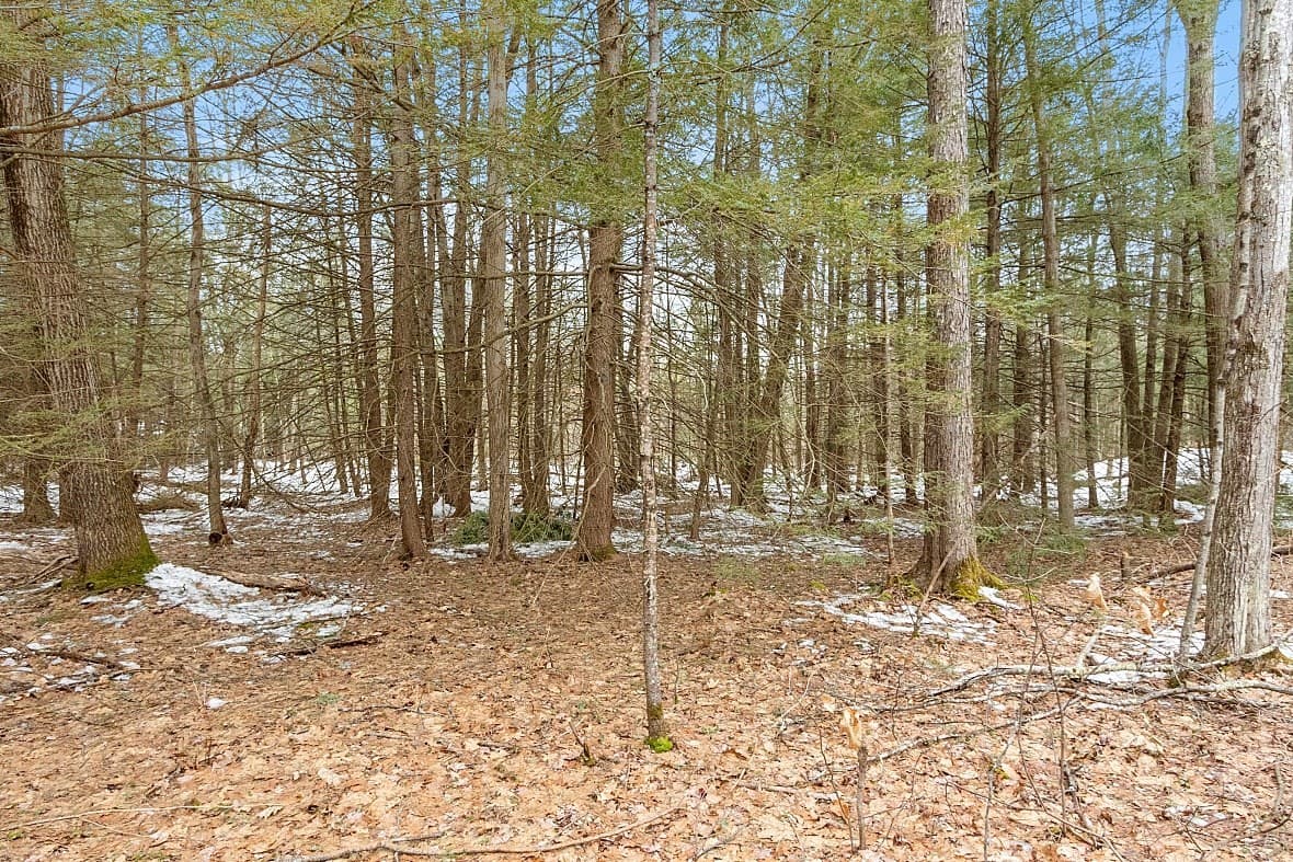 43A Baldwinville Rd photo 3