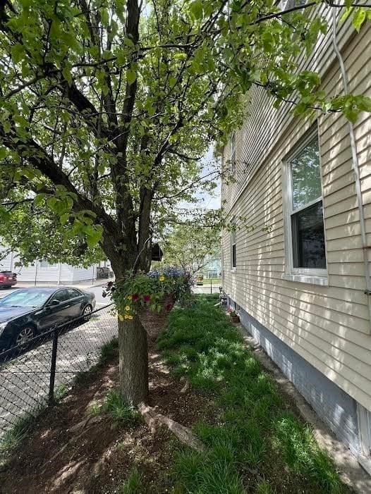 33 Montrose Street photo 4