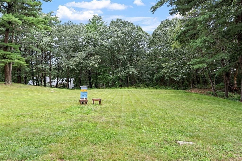 22 Bray Street Lot 1 photo 3