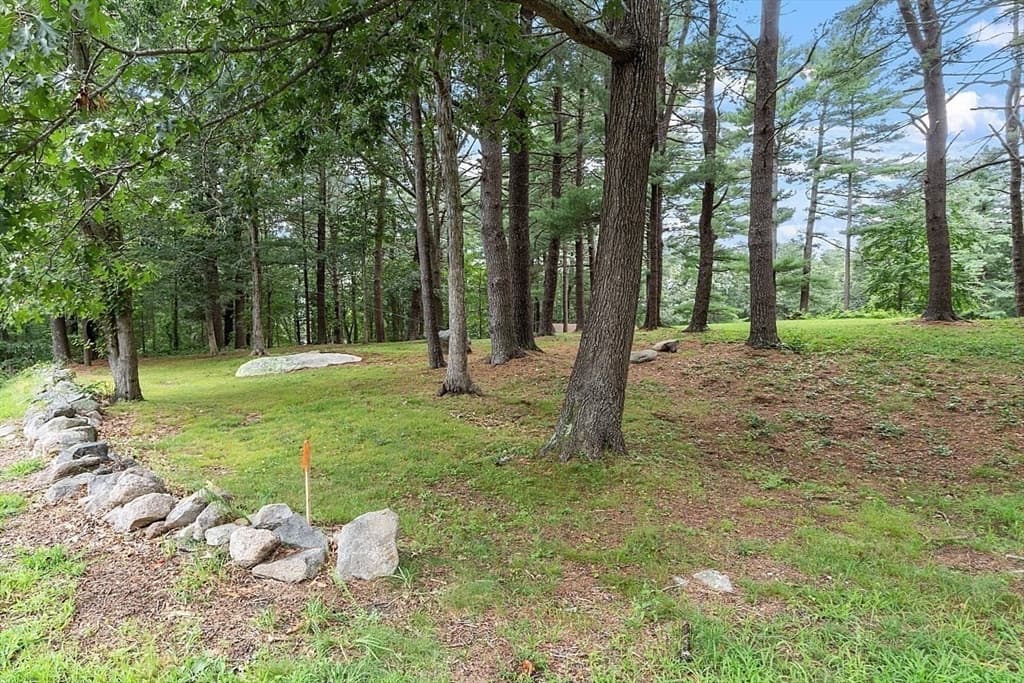 22 Bray Street Lot 1 photo 4
