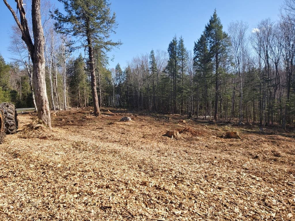 87 Stoney Brook photo 5