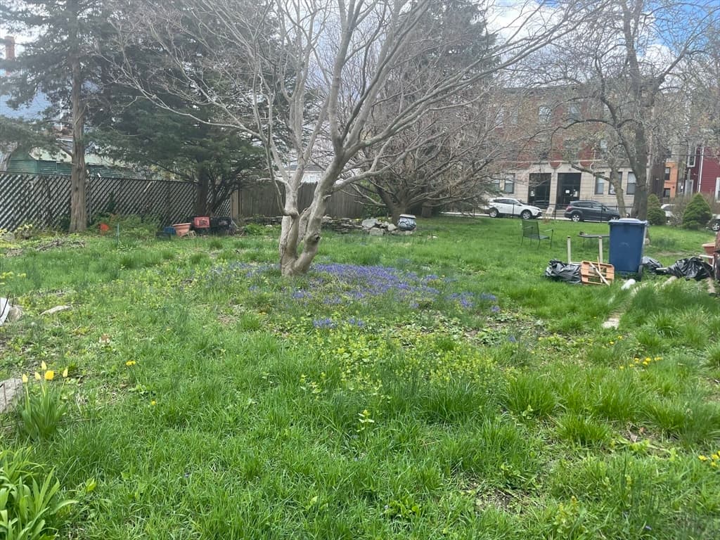 32 Homestead St photo 5