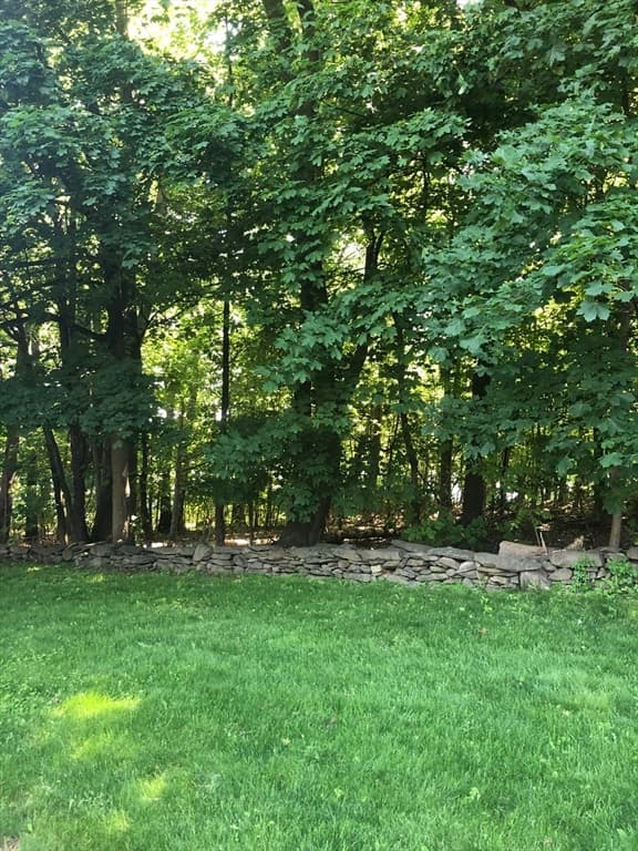 19 Wilderwood Ave photo 3