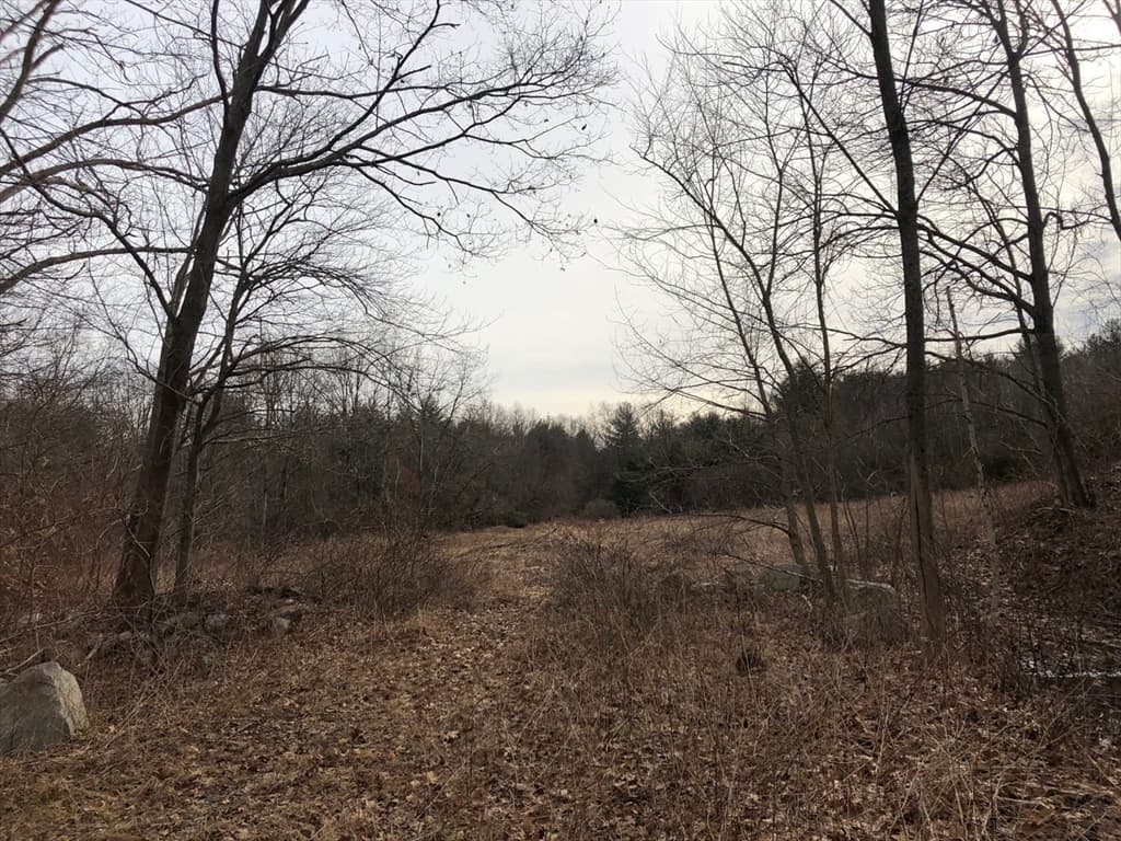 61 Maple Ave photo 3
