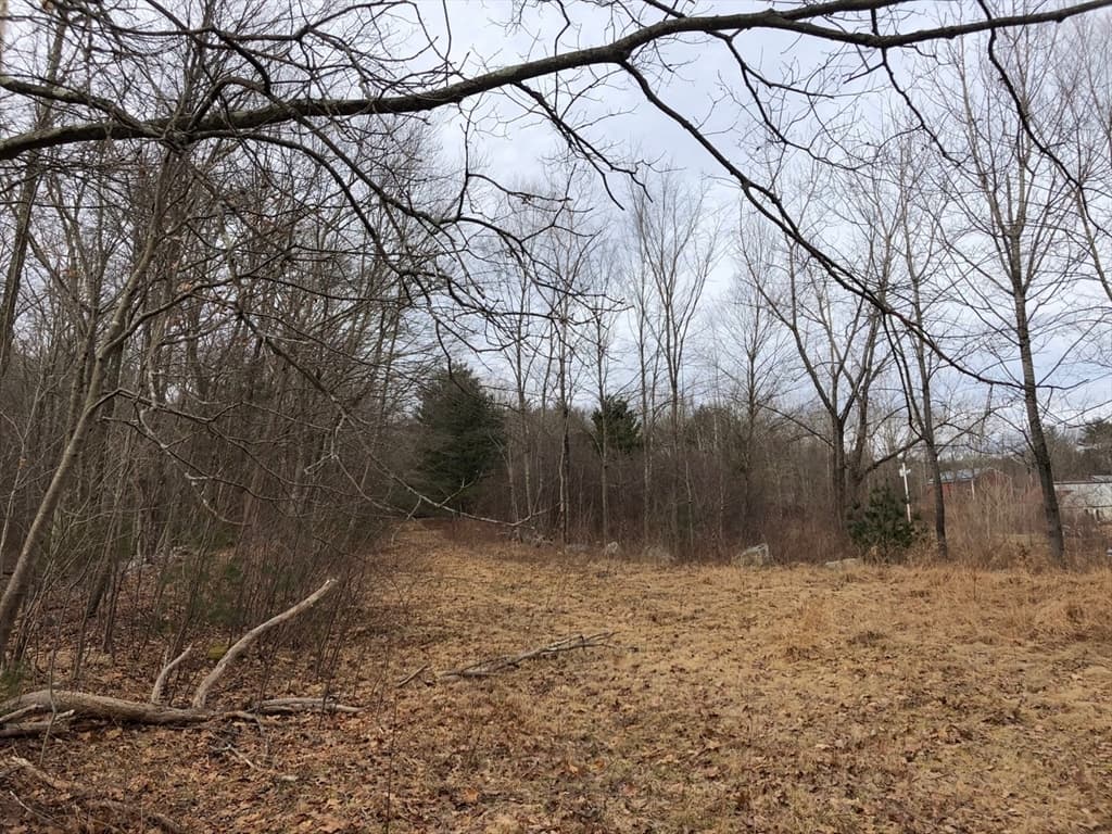 61 Maple Ave photo 5