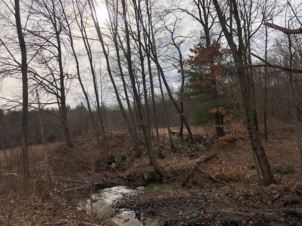 61 Maple Ave photo 4