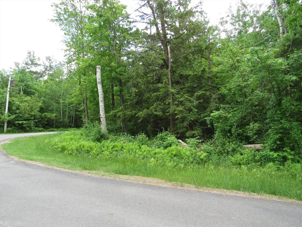 00 Fritz Road photo 2