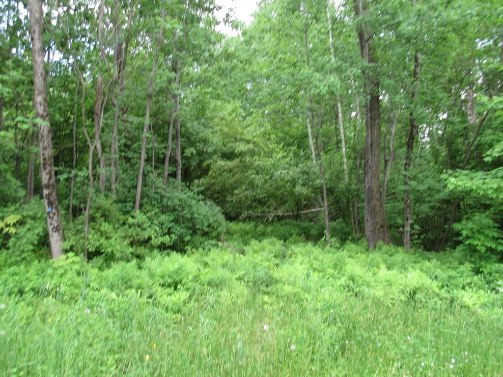 00 Fritz Road photo 3