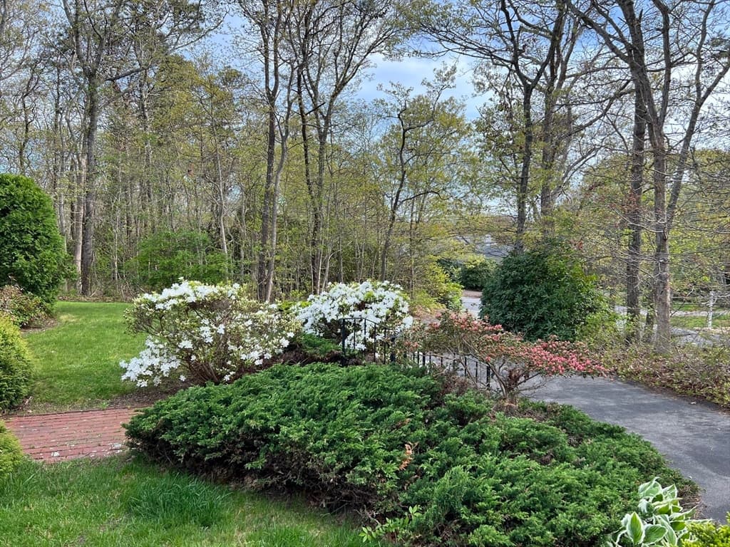 346 Sippewissett Rd photo 2