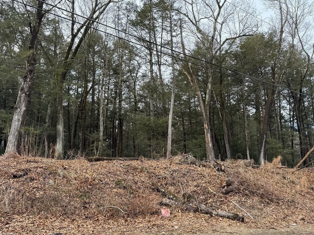 55 Foster Rd