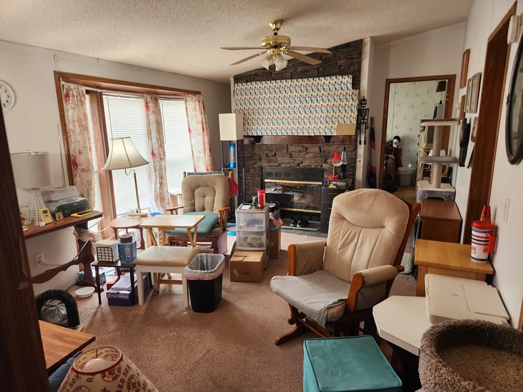 22C Alpine St photo 5