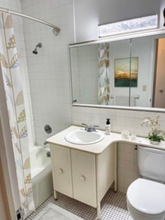 85 E India Row #16A photo 5