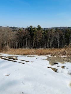 317 Sunnyhill Rd photo 3