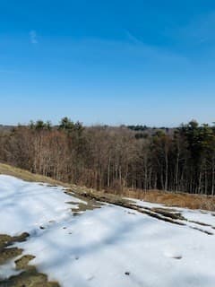 317 Sunnyhill Rd