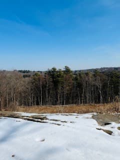317 Sunnyhill Rd photo 4