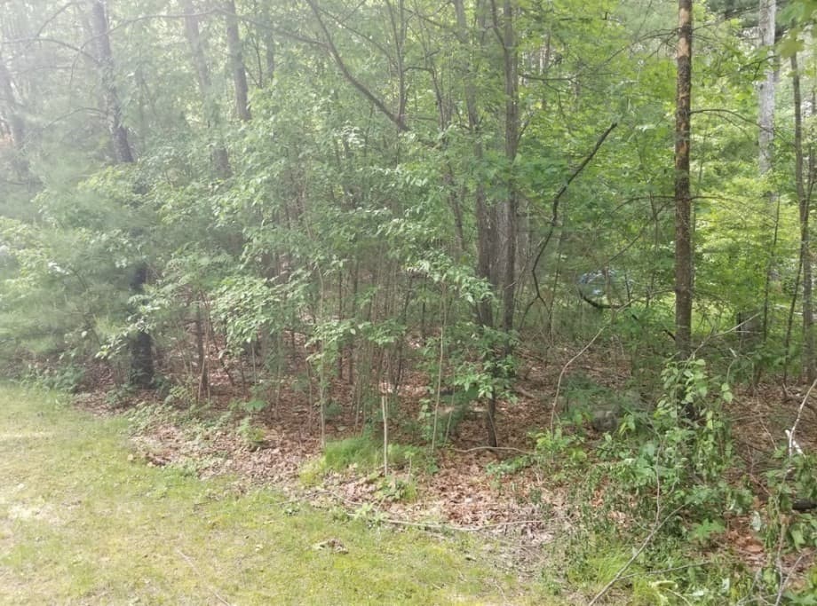 141 Town Farm Rd