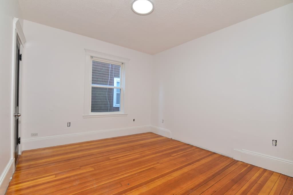448 Norfolk #1 photo 3