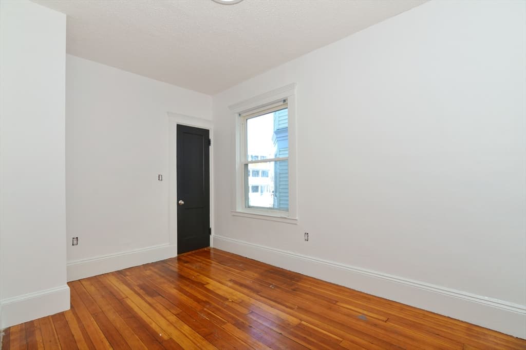 448 Norfolk #1 photo 4