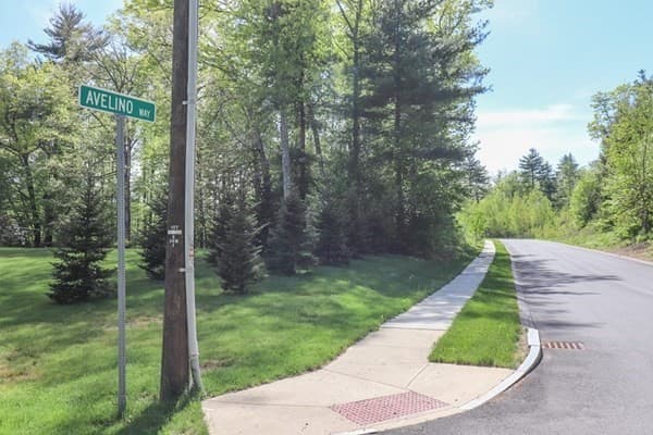 LOT 1 Avelino Way