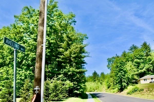 LOT 7 Avelino Way photo 2