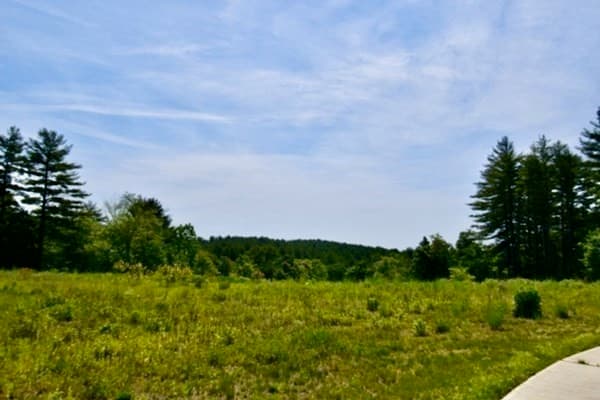 LOT 8 Avelino Way photo 4