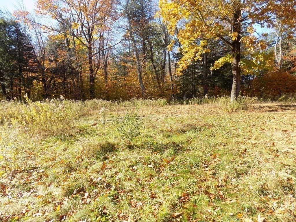 35 Arrowhead Ln photo 4