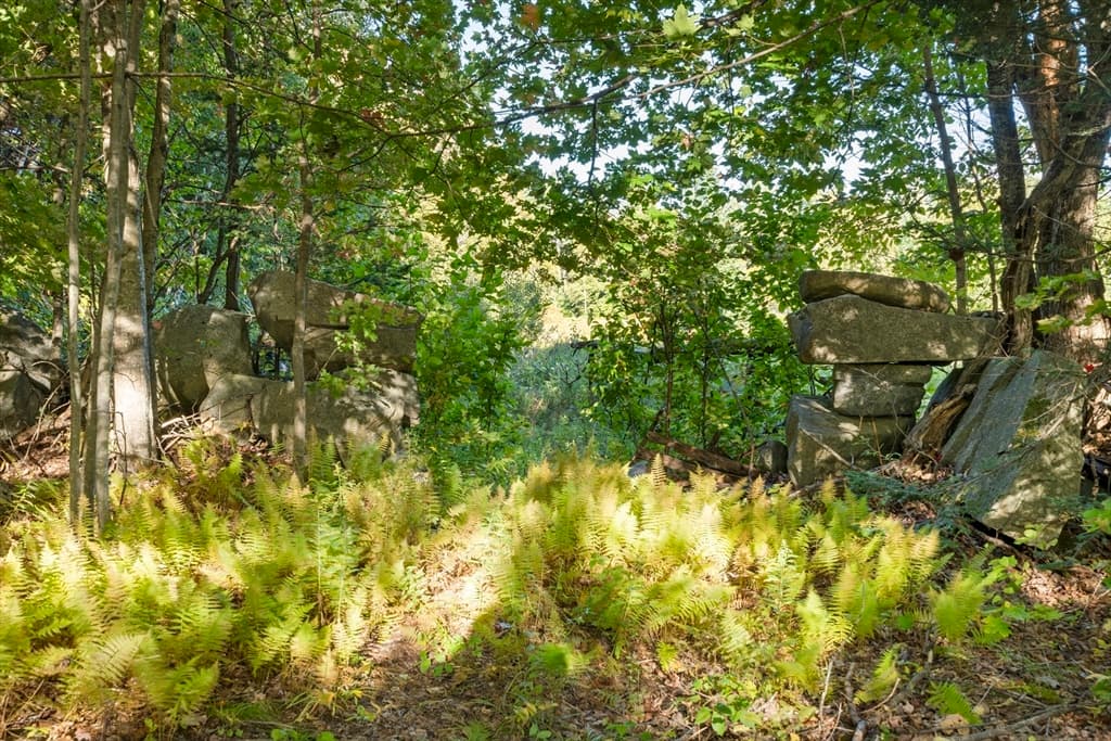 91 Venheim Rd photo 4