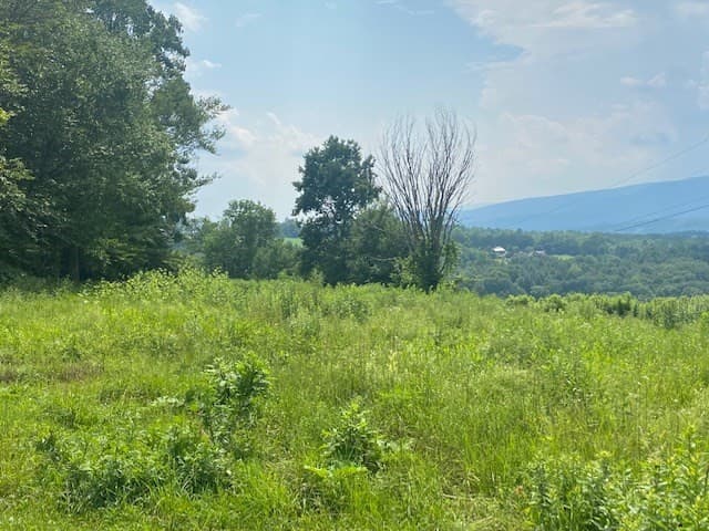 0 East Mountain Road photo 3