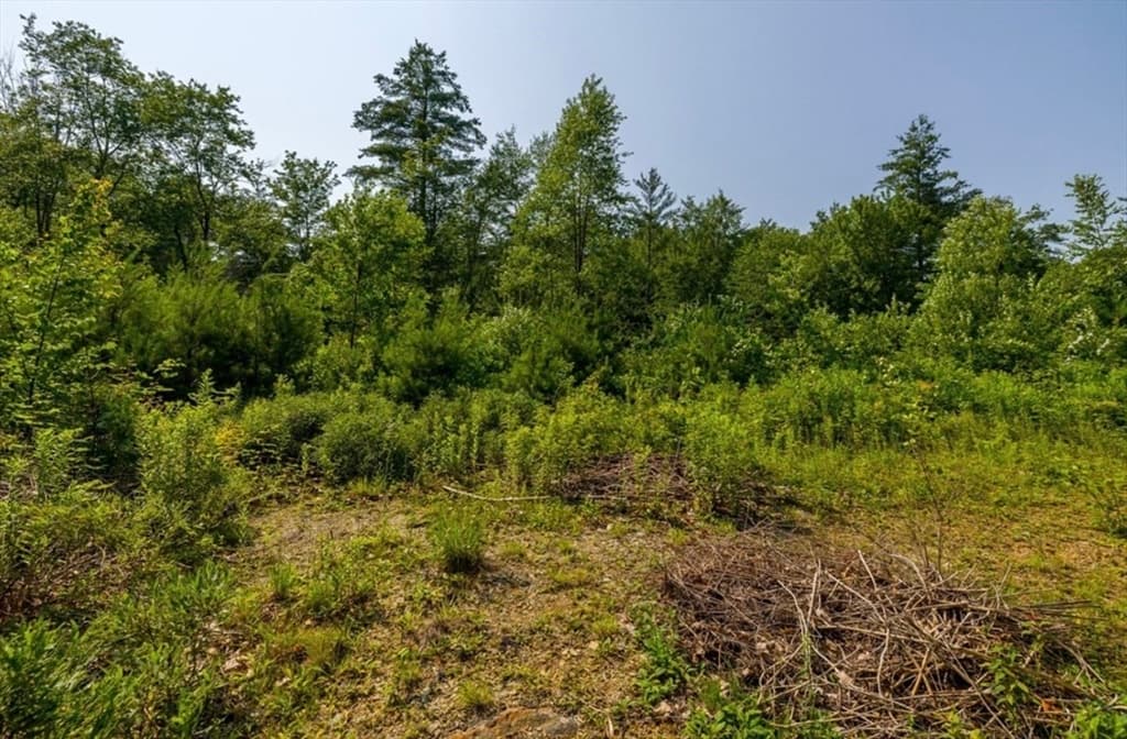 Lot 3 R North Ayers Road photo 3
