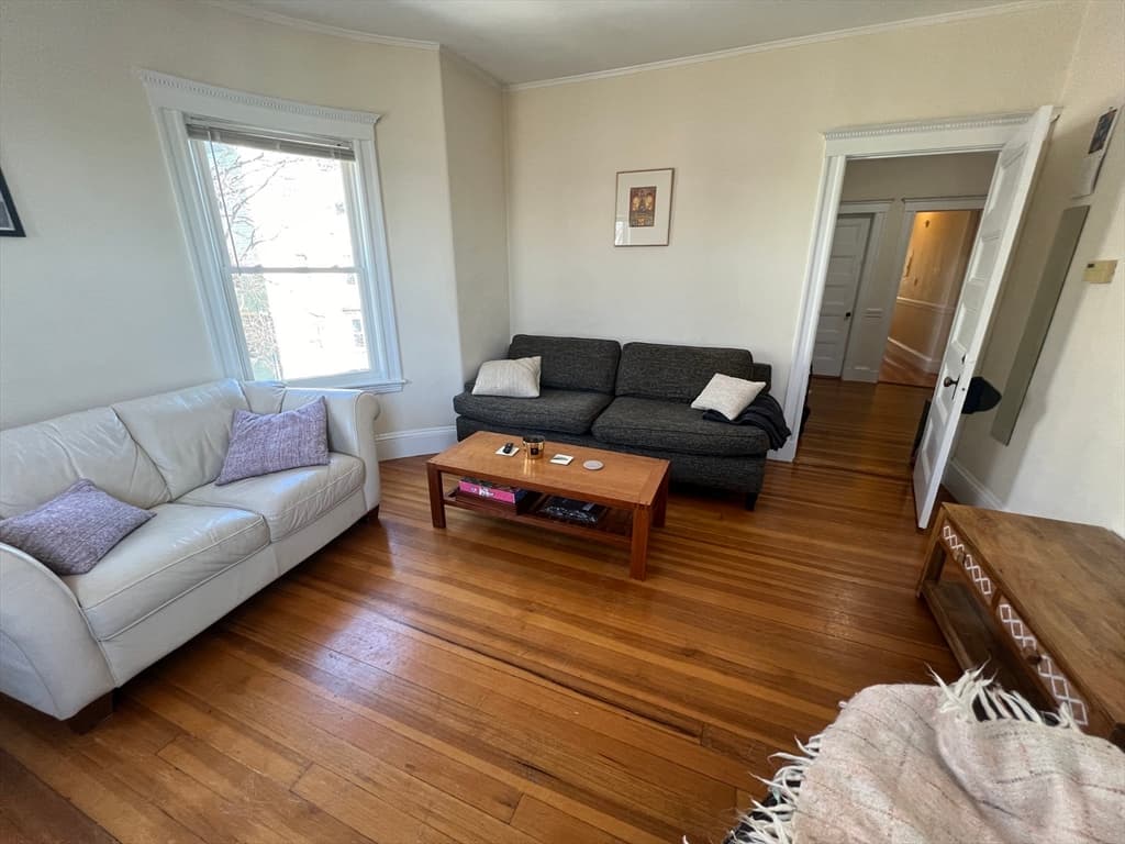 51 Ibbetson St #3 photo 3